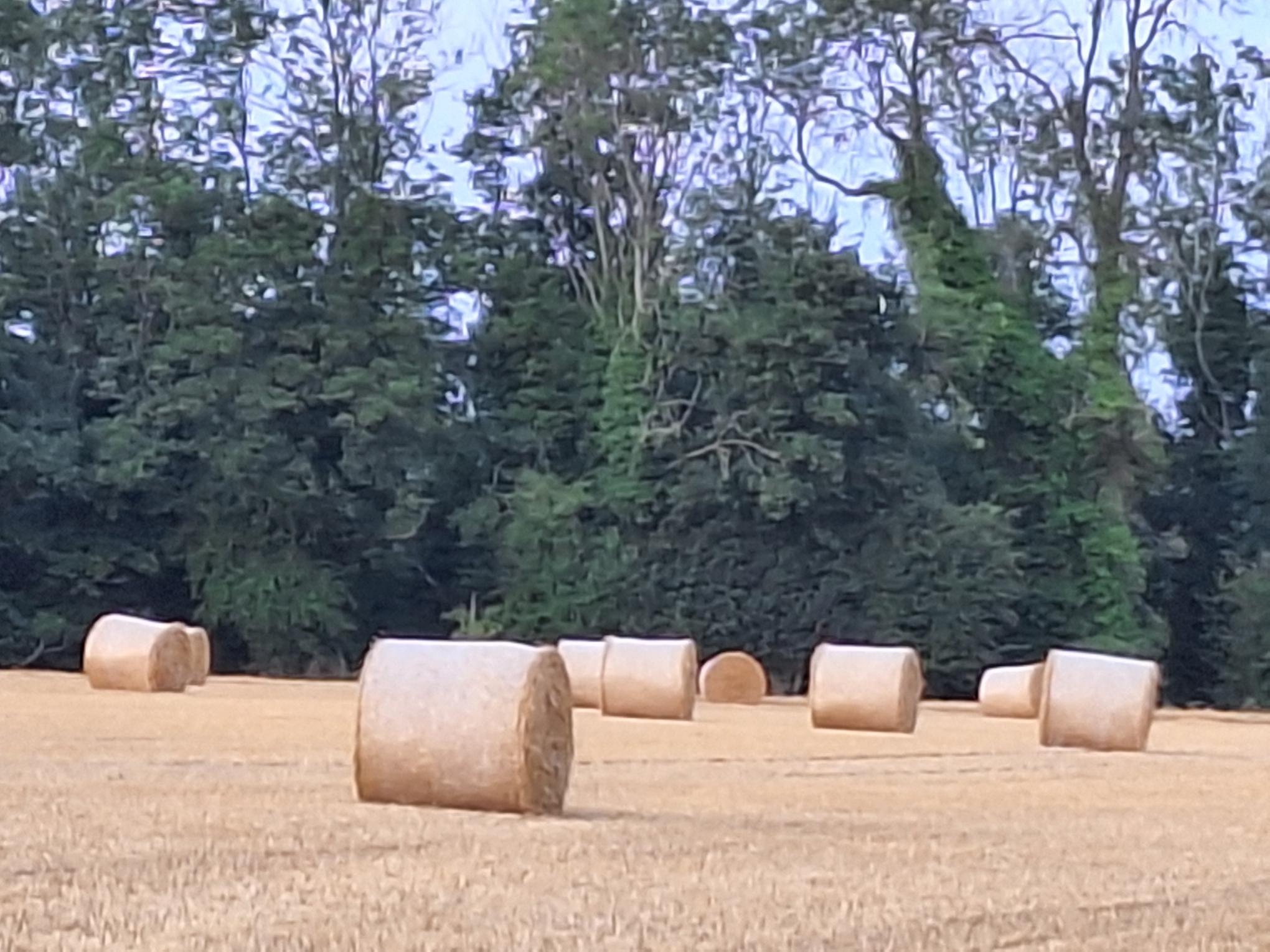 Harvest Festival at All Saints Brandon Parva